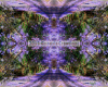 Purple Pathway Mandala by medium Bonnie Vent